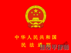 中华人民共和国民法通则（2009最新修正） 第九章 附则