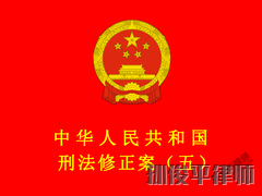 中华人民共和国刑法修正案（五）
