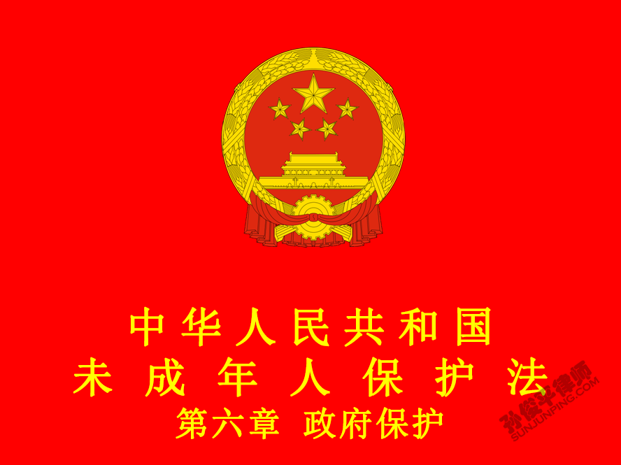 中华人民共和国未成年人保护法 第六章 政府保护