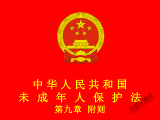 中华人民共和国未成年人保护法 第九章 附则