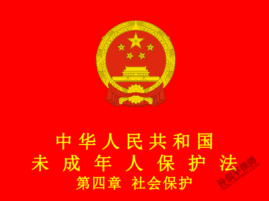 中华人民共和国未成年人保护法 第四章 社会保护