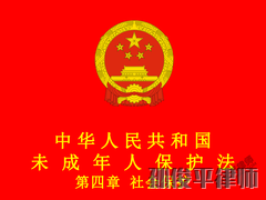中华人民共和国未成年人保护法 第四章 社会保护