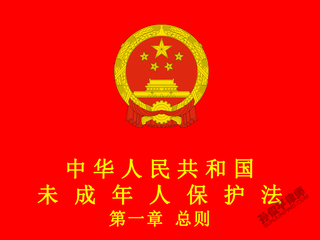 中华人民共和国未成年人保护法 第一章 总则