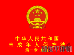 中华人民共和国未成年人保护法 第一章 总则