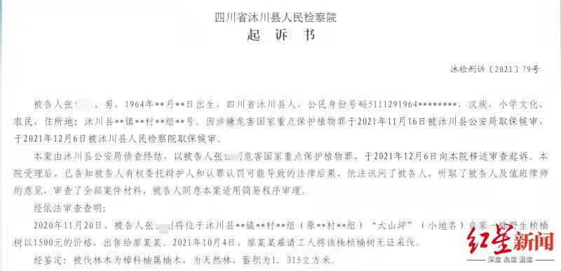 四川一农民1500元卖掉“自家野生”桢楠树被公诉 律师解读三大争议
