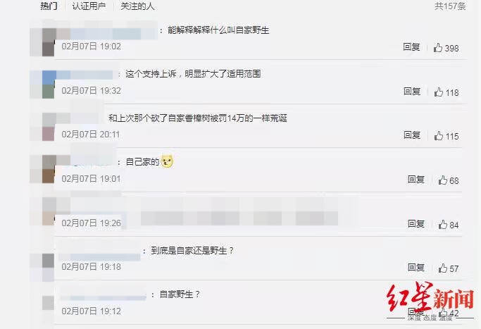 四川一农民1500元卖掉“自家野生”桢楠树被公诉 律师解读三大争议