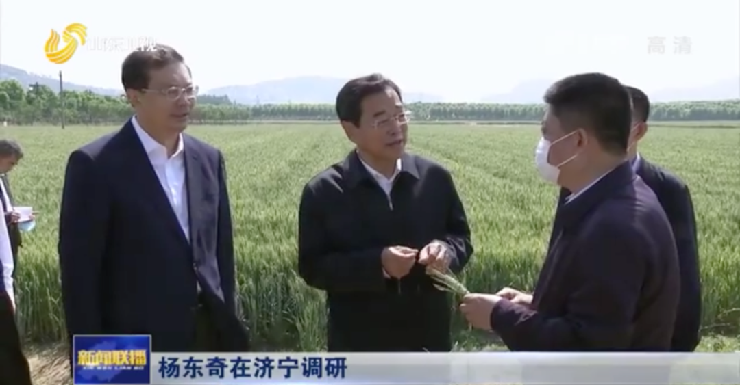 “发现一起严肃处理一起”!省委书记部署的背后,有深意
